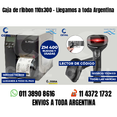 Caja de ribbon 110x300 - Llegamos a toda Argentina