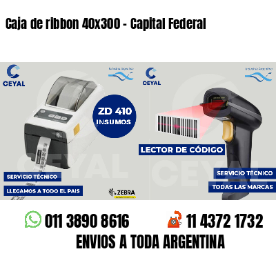 Caja de ribbon 40x300 - Capital Federal