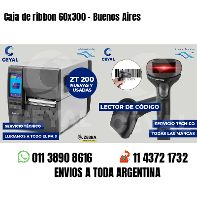 Caja de ribbon 60x300 - Buenos Aires