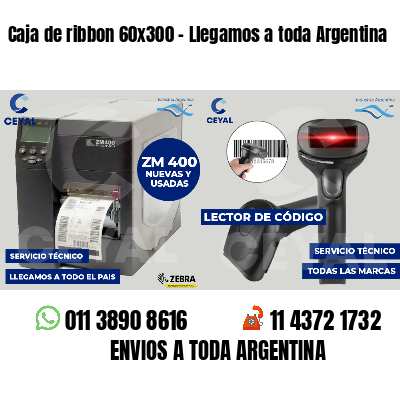 Caja de ribbon 60x300 - Llegamos a toda Argentina