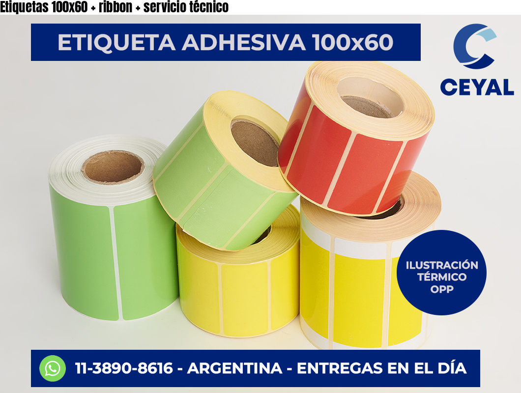 Etiquetas 100×60   ribbon   servicio técnico