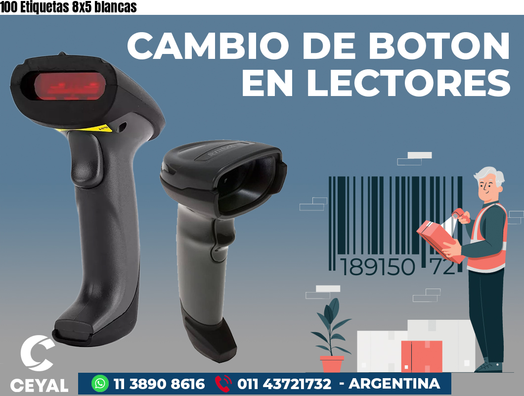 100 Etiquetas 8x5 blancas