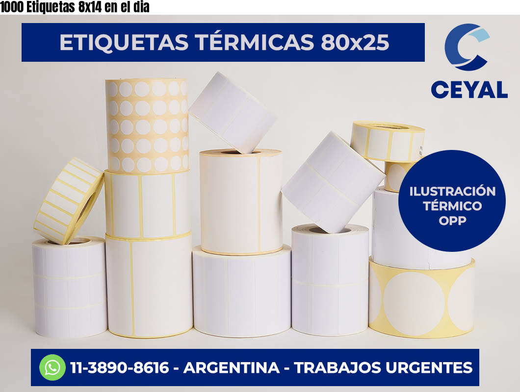 1000 Etiquetas 8×14 en el dia