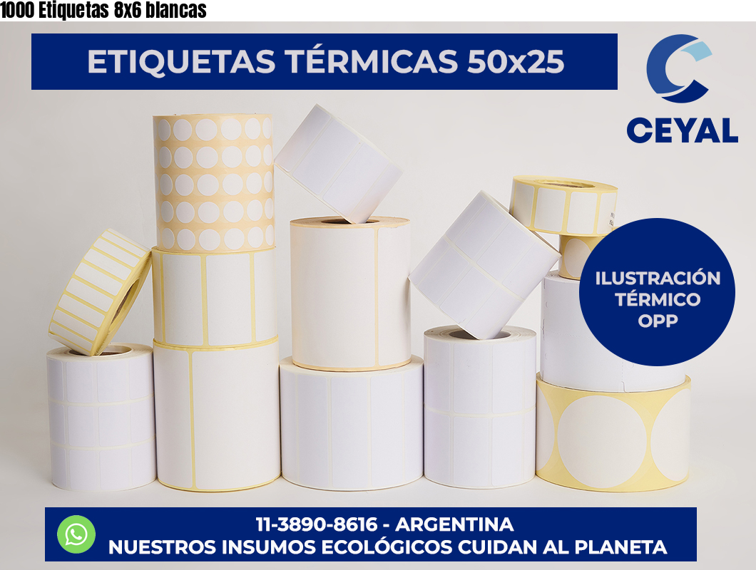 1000 Etiquetas 8×6 blancas