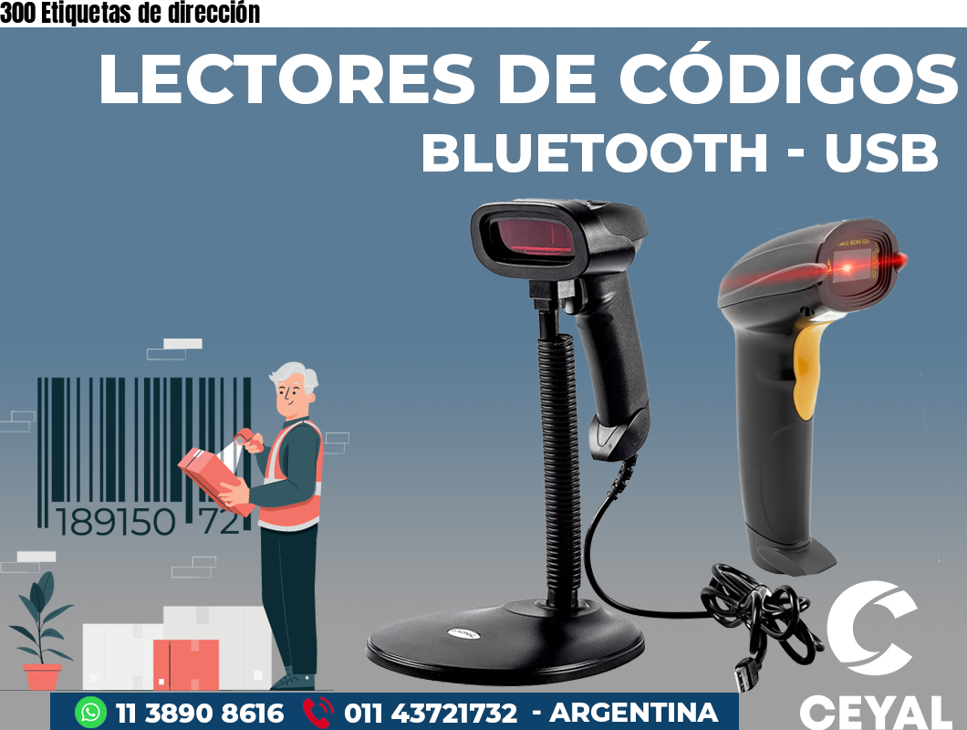 300 Etiquetas de dirección