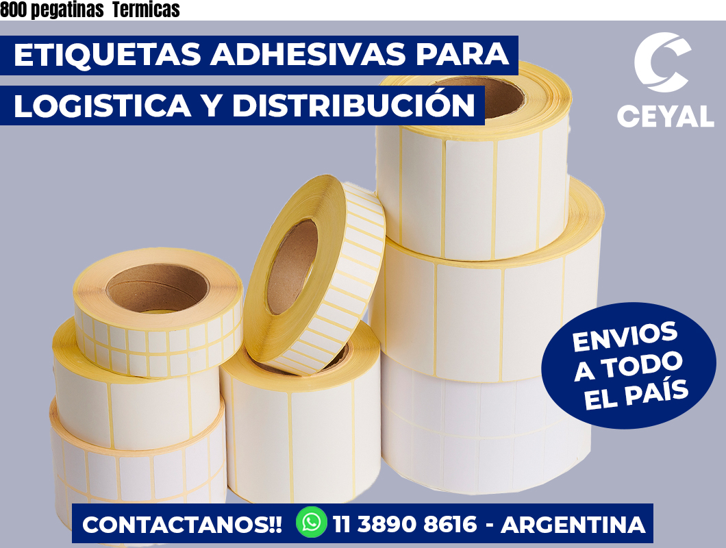 800 pegatinas  Termicas