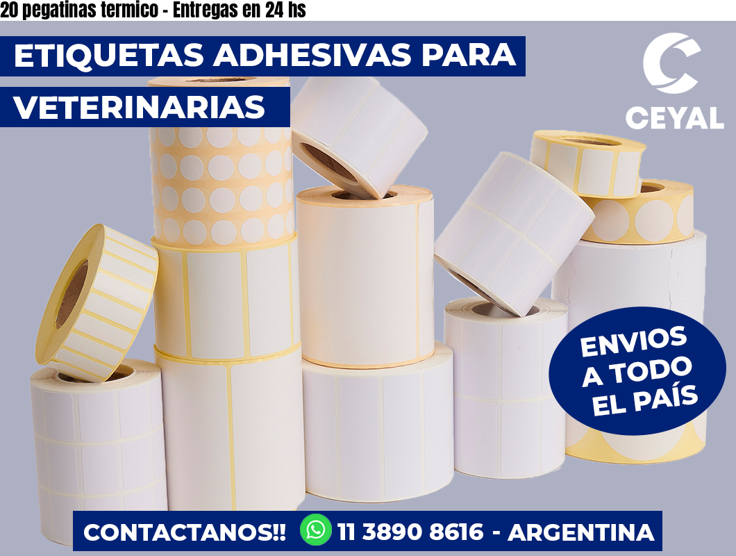 20 pegatinas termico - Entregas en 24 hs