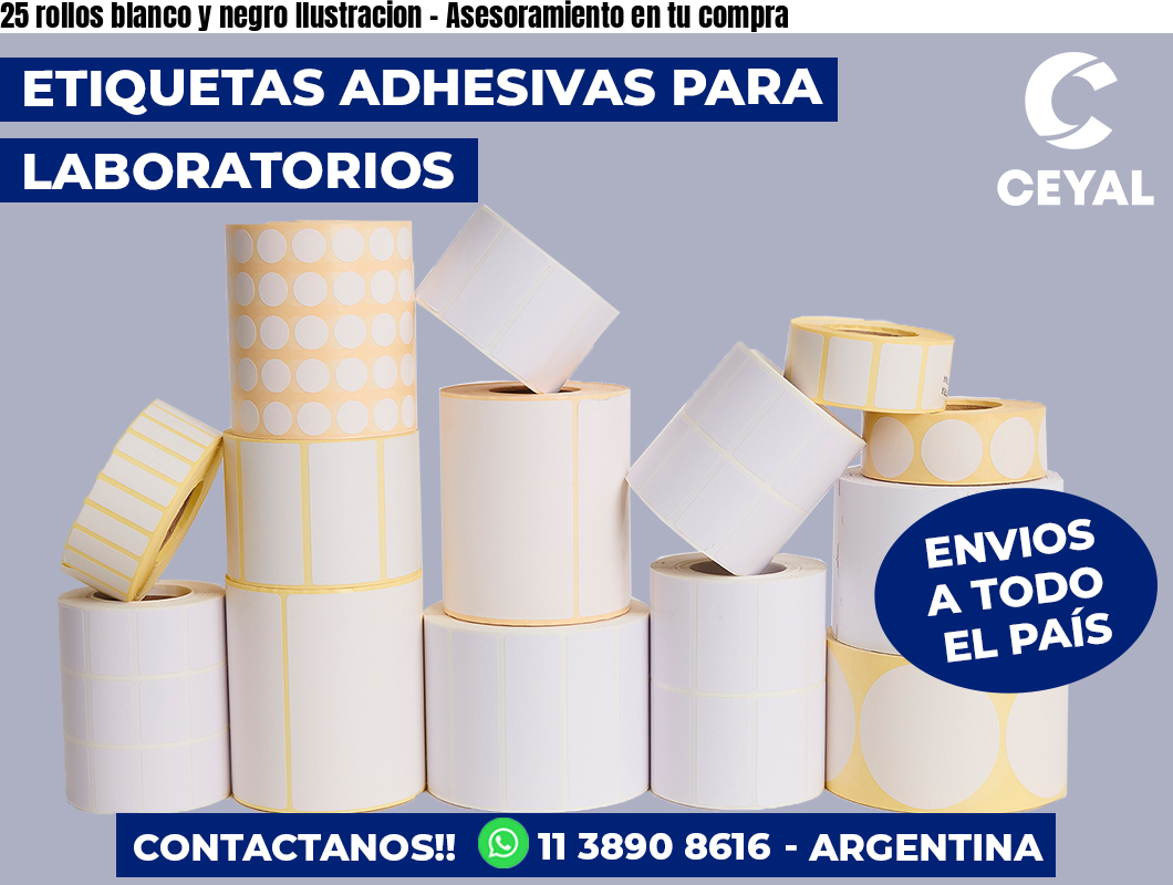 25 rollos blanco y negro Ilustracion - Asesoramiento en tu compra