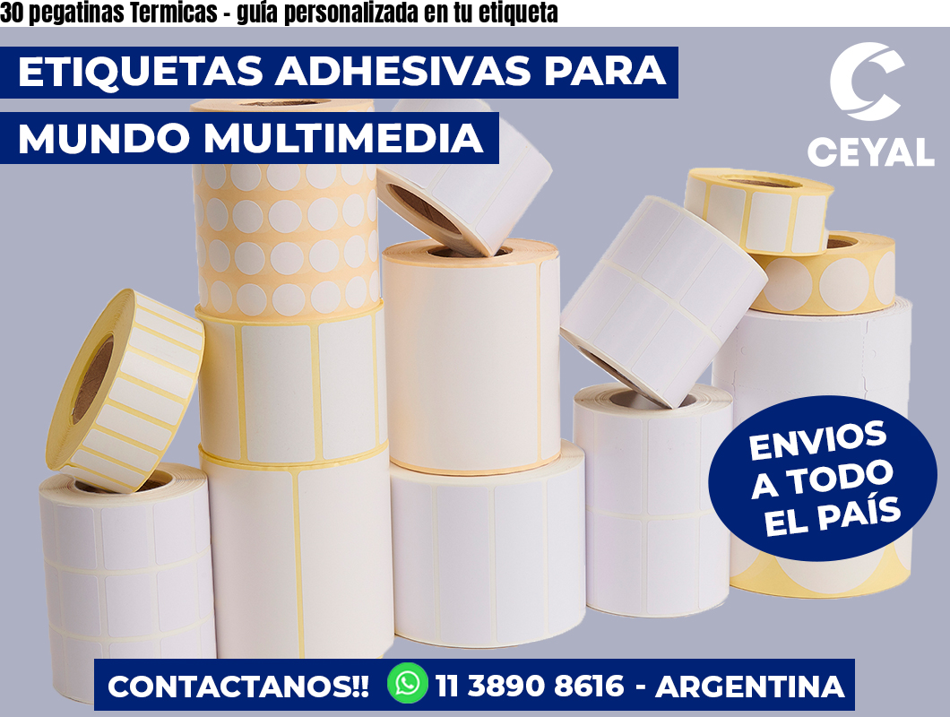 30 pegatinas Termicas - guía personalizada en tu etiqueta