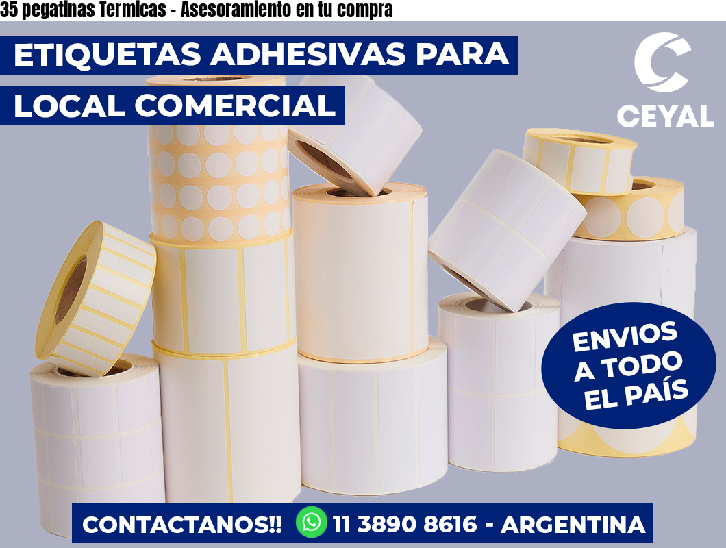 35 pegatinas Termicas - Asesoramiento en tu compra