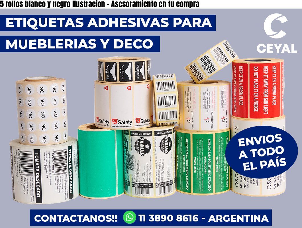 5 rollos blanco y negro Ilustracion – Asesoramiento en tu compra
