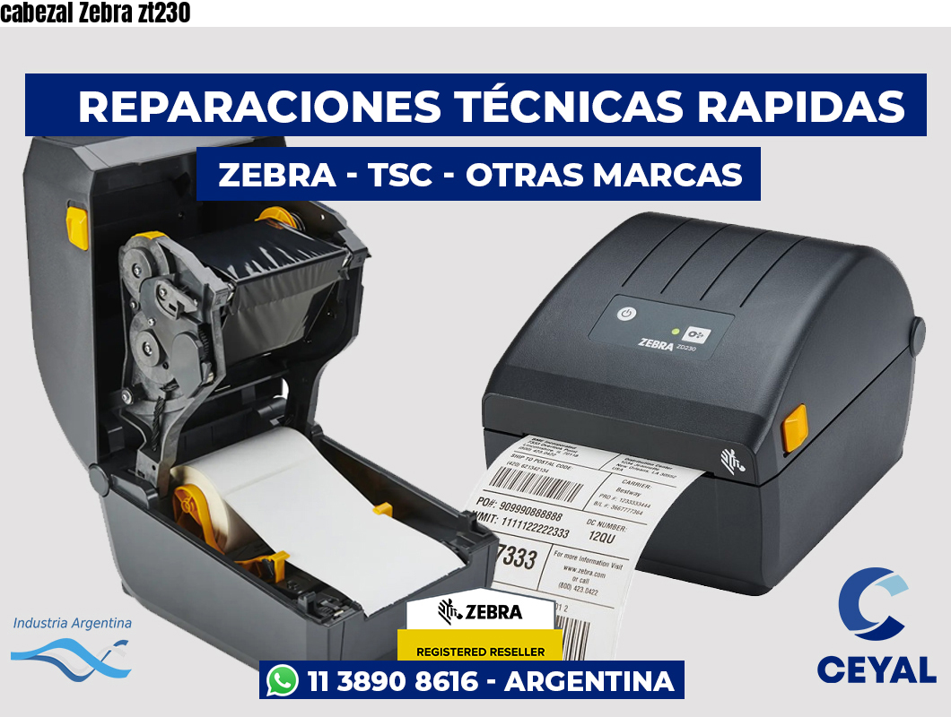 cabezal Zebra zt230
