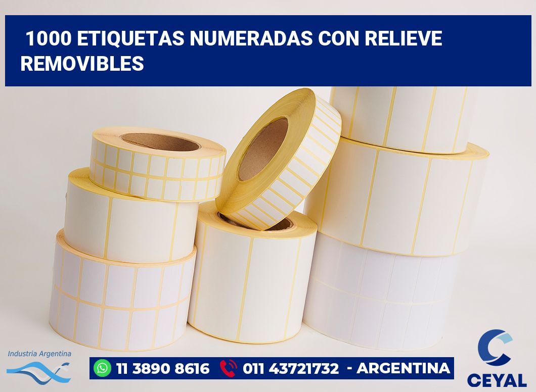 1000 Etiquetas numeradas con relieve removibles