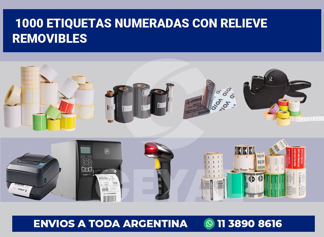 1000 Etiquetas numeradas con relieve removibles