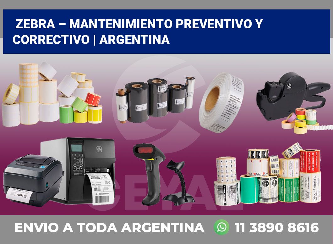 Zebra – mantenimiento preventivo y correctivo | Argentina