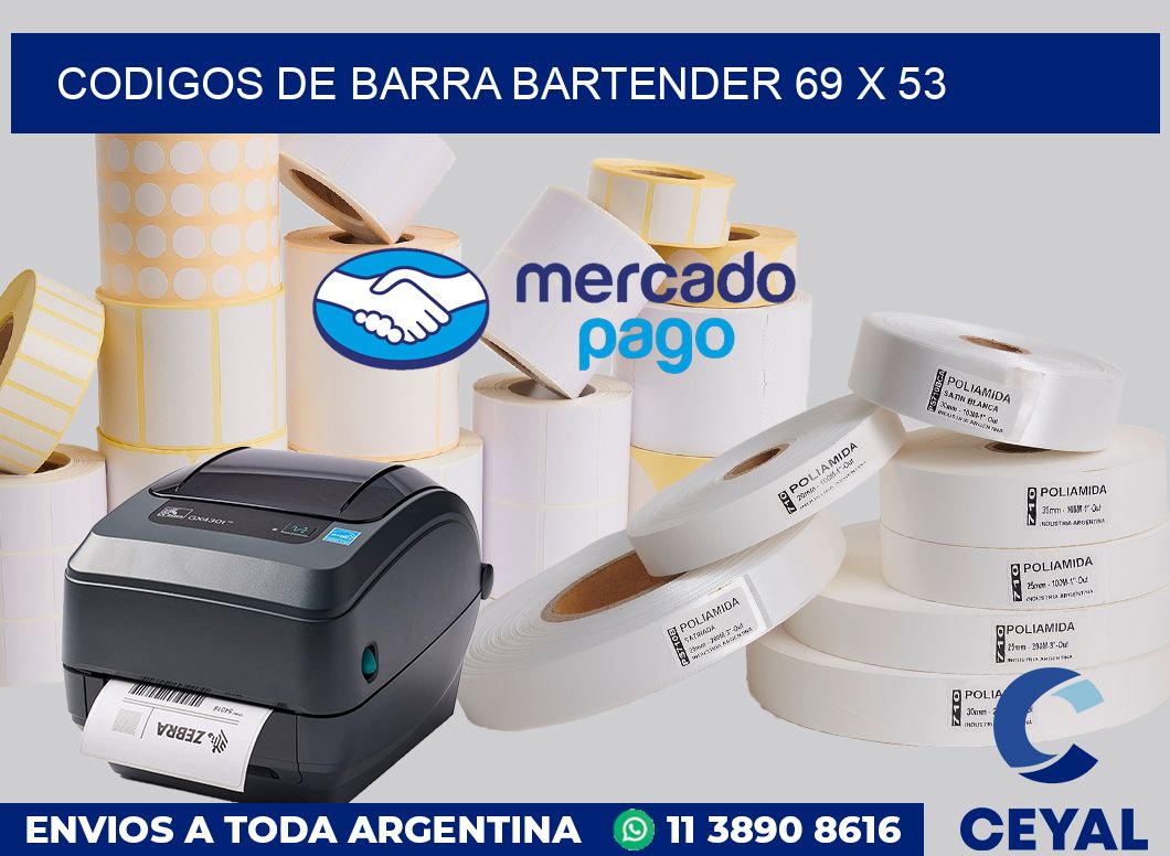 Codigos de barra Bartender 69 x 53