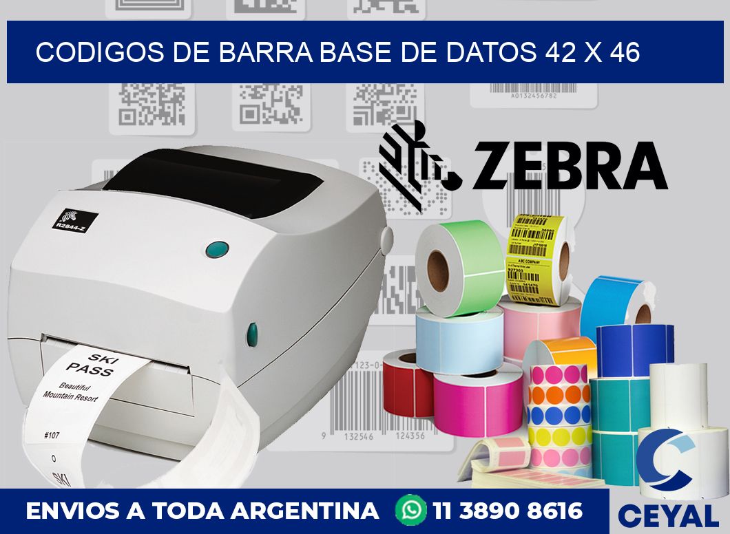 Codigos de barra base de datos 42 x 46