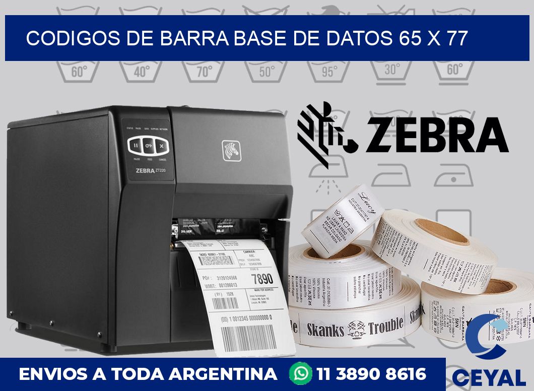 Codigos de barra base de datos 65 x 77