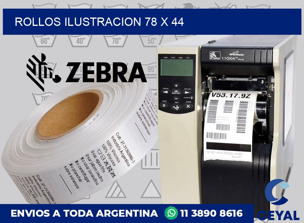 Rollos ilustracion 78 x 44