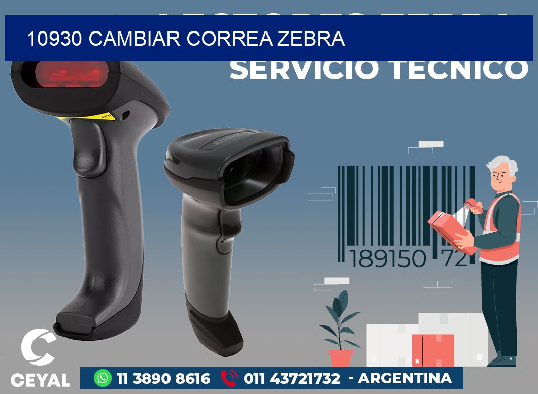 10930 CAMBIAR CORREA ZEBRA