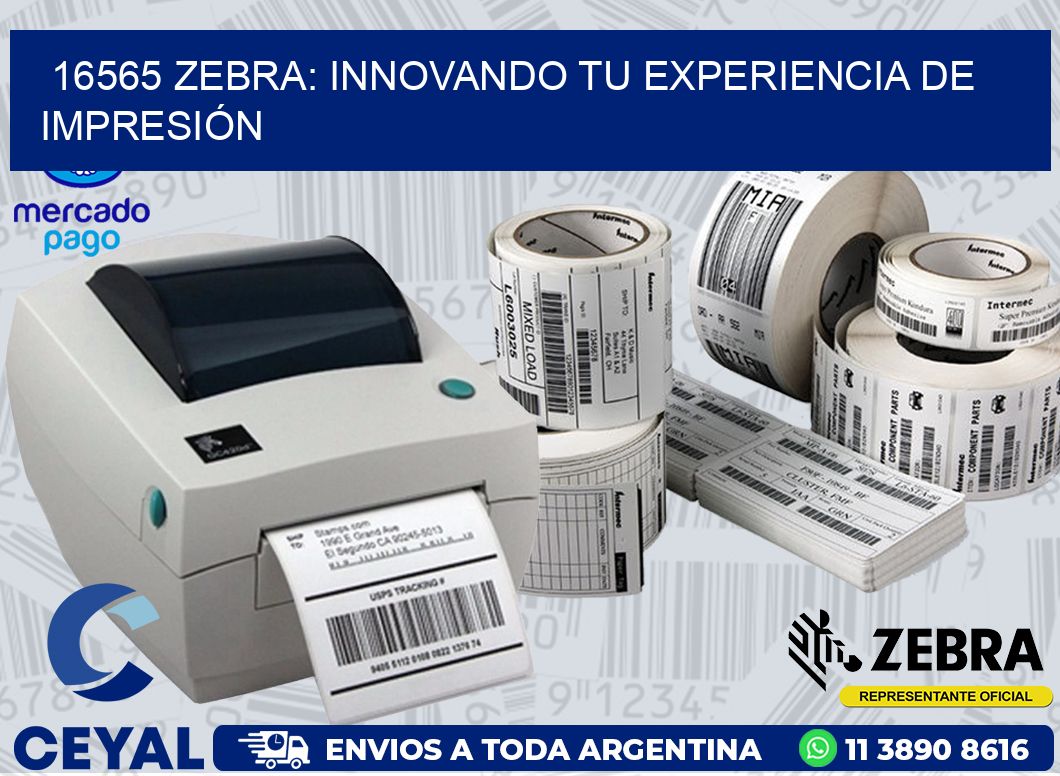 16565 ZEBRA: INNOVANDO TU EXPERIENCIA DE IMPRESIÓN