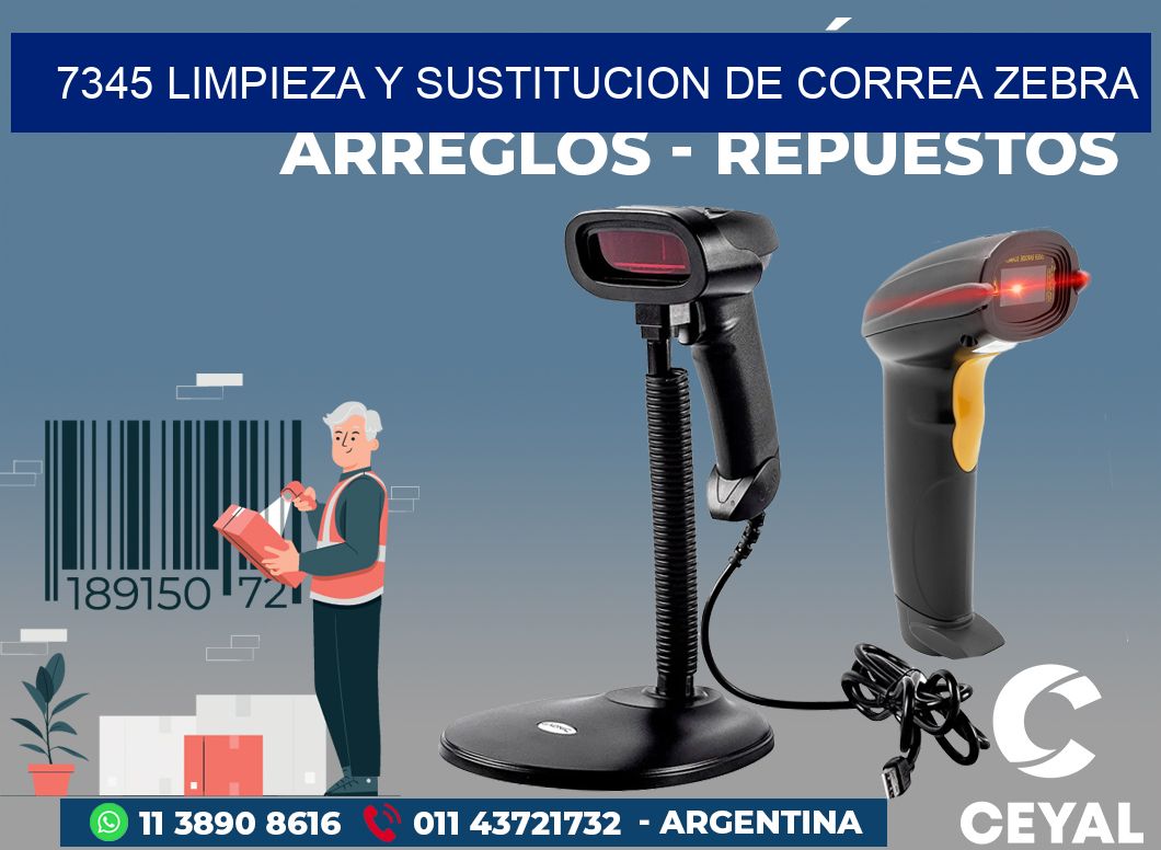 7345 LIMPIEZA Y SUSTITUCION DE CORREA ZEBRA