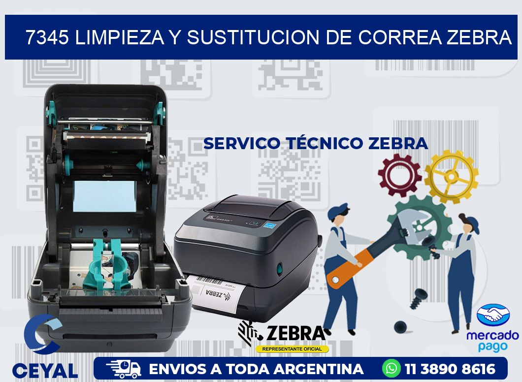 7345 LIMPIEZA Y SUSTITUCION DE CORREA ZEBRA