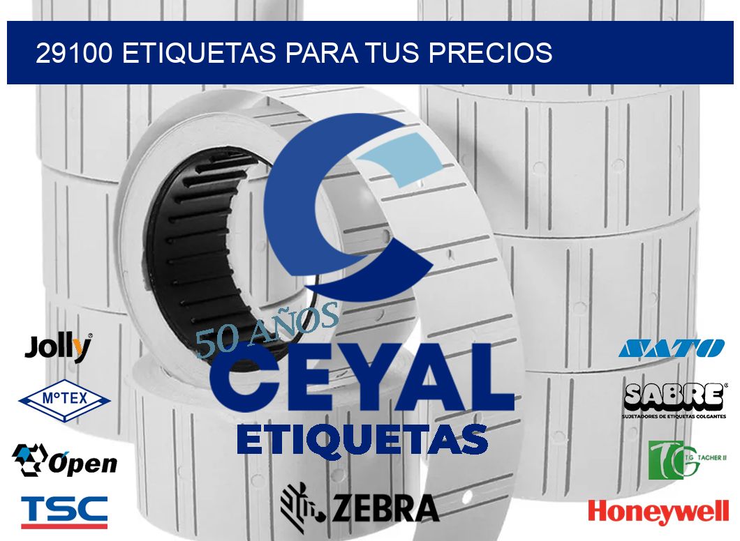 29100 ETIQUETAS PARA TUS PRECIOS
