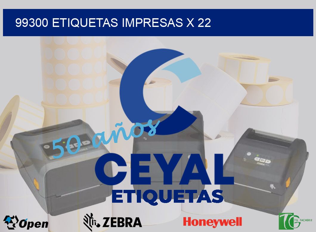 99300 Etiquetas impresas x 22