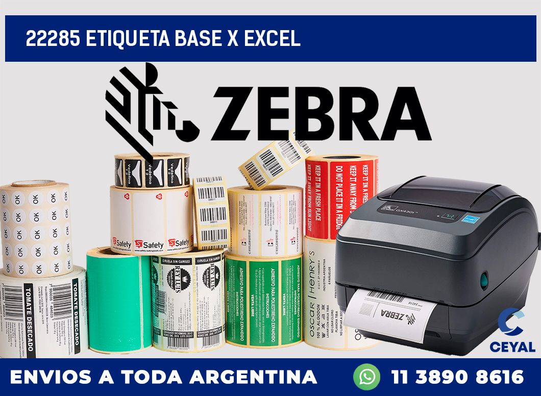 22285 etiqueta base x excel