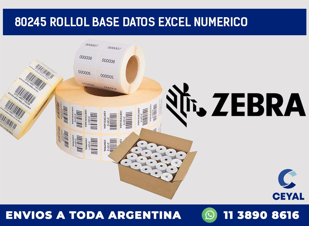 80245 rollol base datos excel numerico