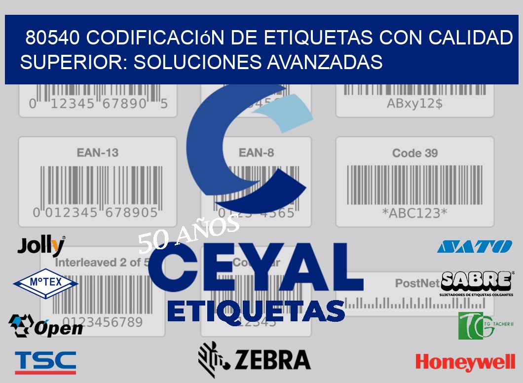 80540 Codificación de Etiquetas con Calidad Superior: Soluciones Avanzadas