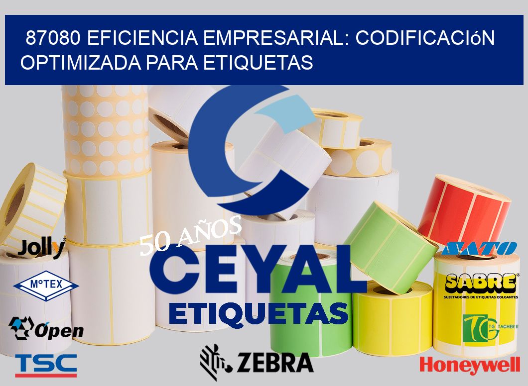87080 Eficiencia Empresarial: Codificación Optimizada para Etiquetas