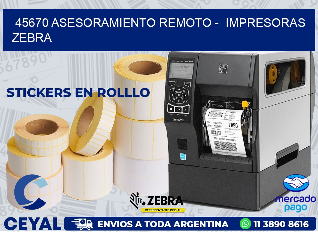 45670 ASESORAMIENTO REMOTO -  IMPRESORAS ZEBRA