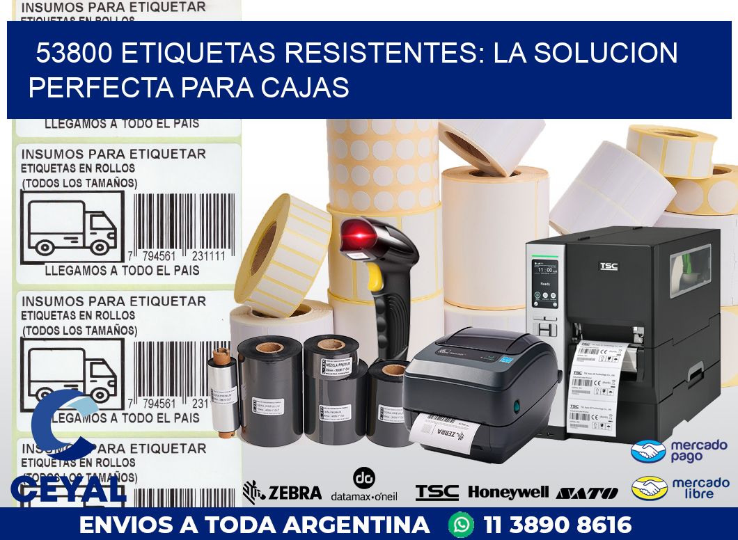 53800 ETIQUETAS RESISTENTES: LA SOLUCION PERFECTA PARA CAJAS