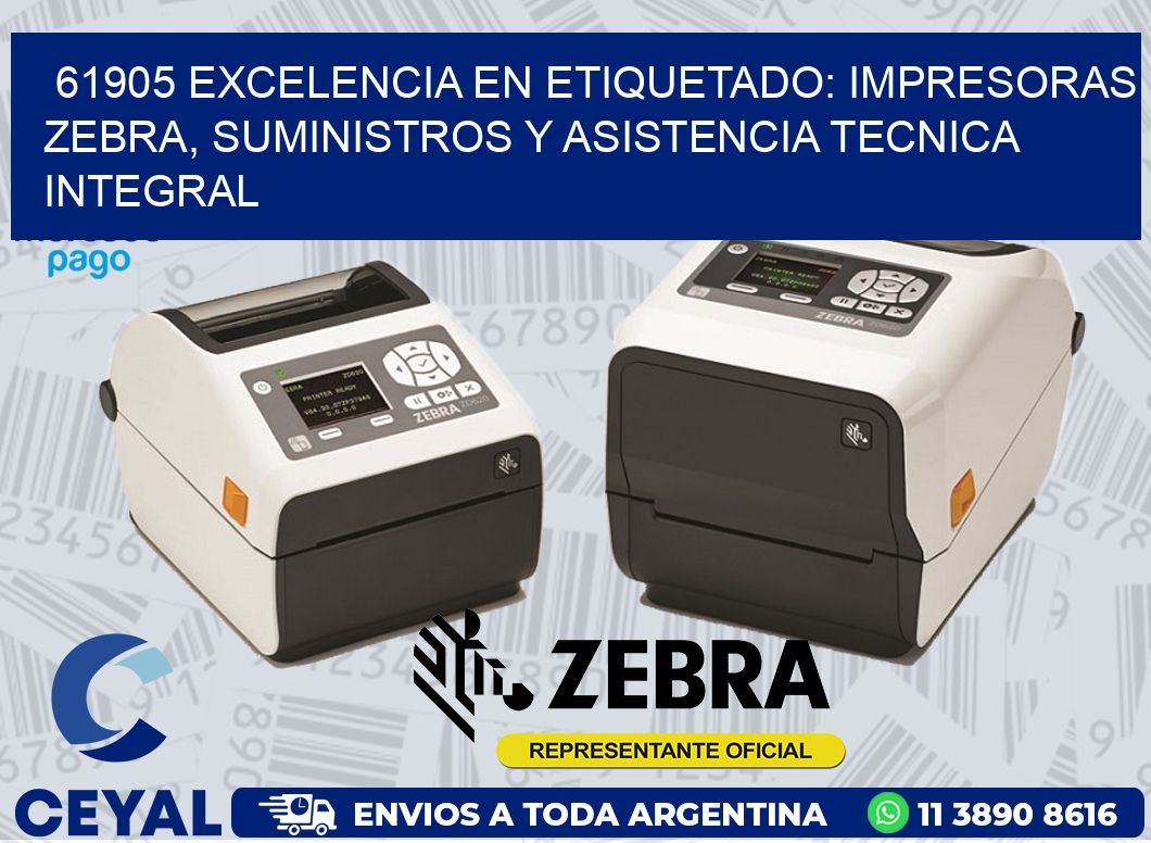 61905 EXCELENCIA EN ETIQUETADO: IMPRESORAS ZEBRA, SUMINISTROS Y ASISTENCIA TECNICA INTEGRAL