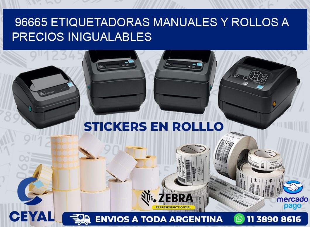 96665 ETIQUETADORAS MANUALES Y ROLLOS A PRECIOS INIGUALABLES