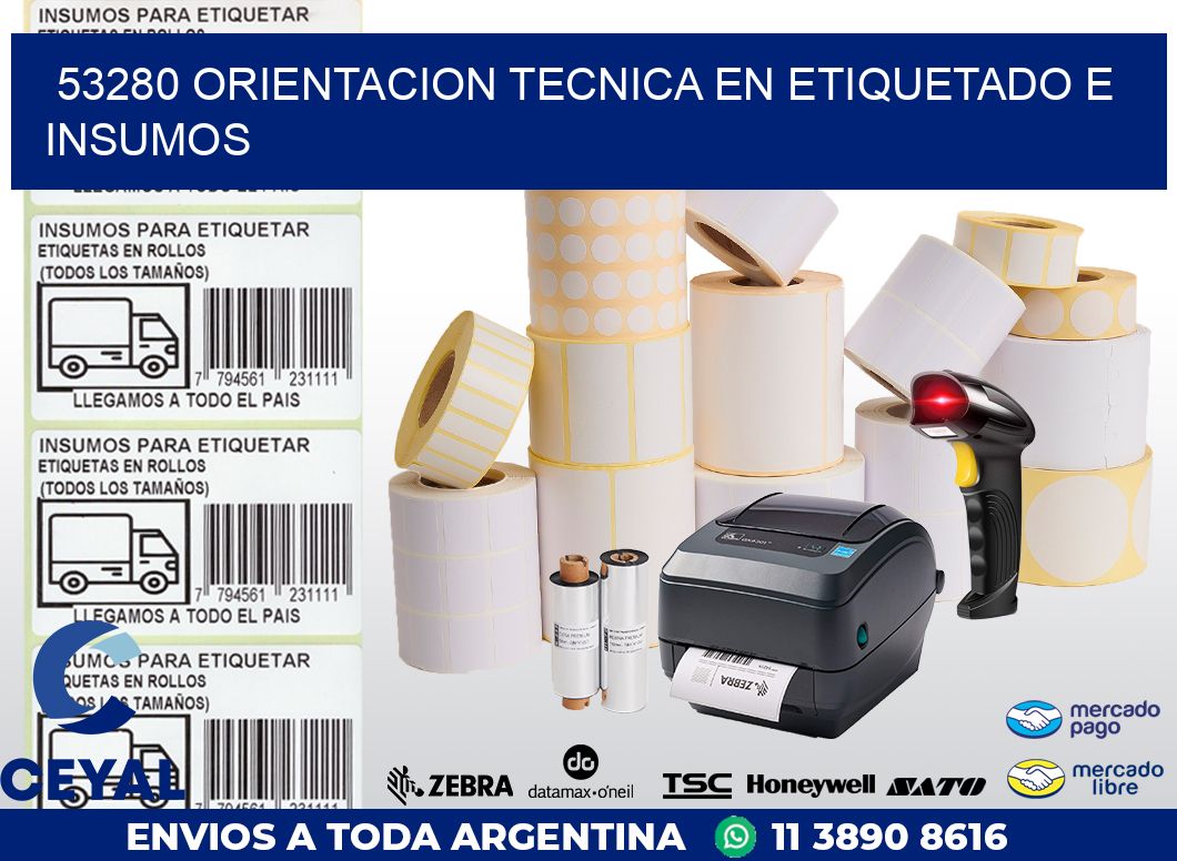 53280 ORIENTACION TECNICA EN ETIQUETADO E INSUMOS