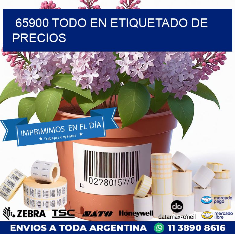 65900 TODO EN ETIQUETADO DE PRECIOS