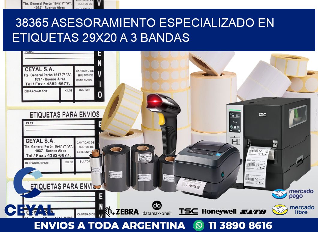 38365 ASESORAMIENTO ESPECIALIZADO EN ETIQUETAS 29X20 A 3 BANDAS