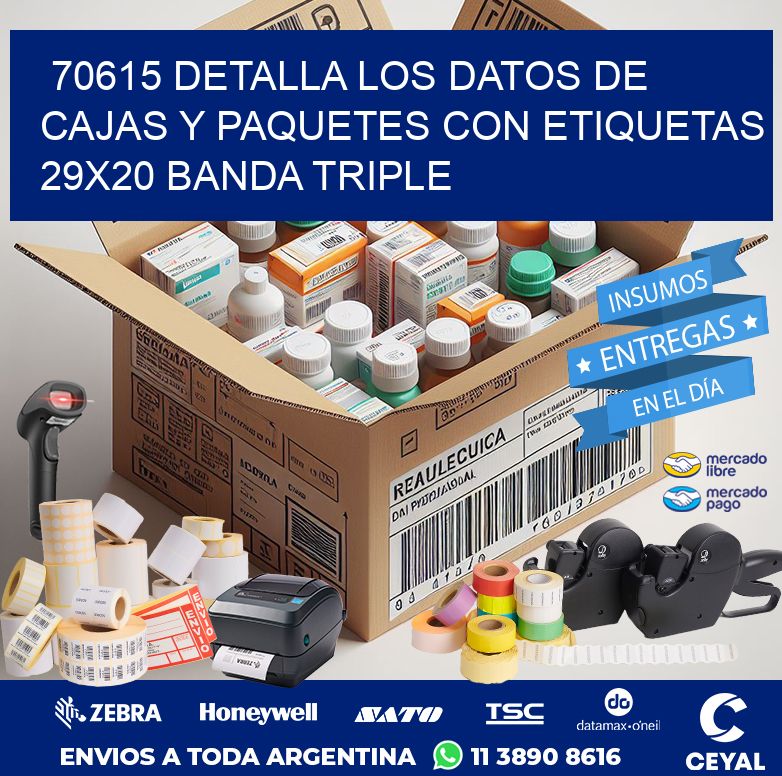 70615 DETALLA LOS DATOS DE CAJAS Y PAQUETES CON ETIQUETAS 29X20 BANDA TRIPLE