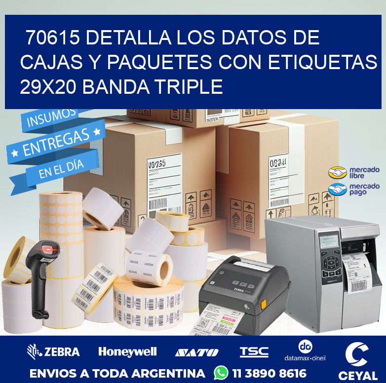 70615 DETALLA LOS DATOS DE CAJAS Y PAQUETES CON ETIQUETAS 29X20 BANDA TRIPLE