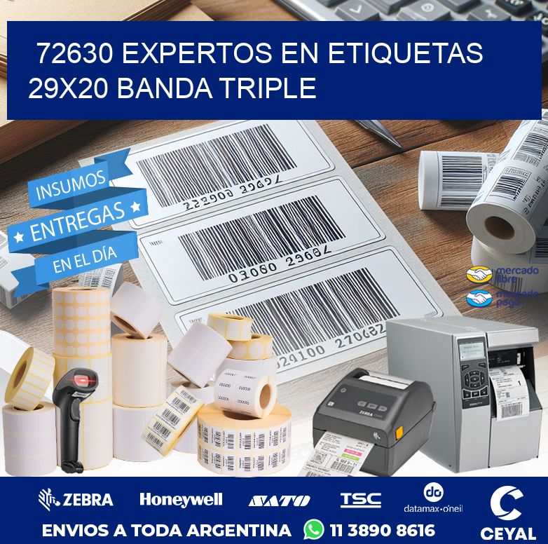 72630 EXPERTOS EN ETIQUETAS 29X20 BANDA TRIPLE