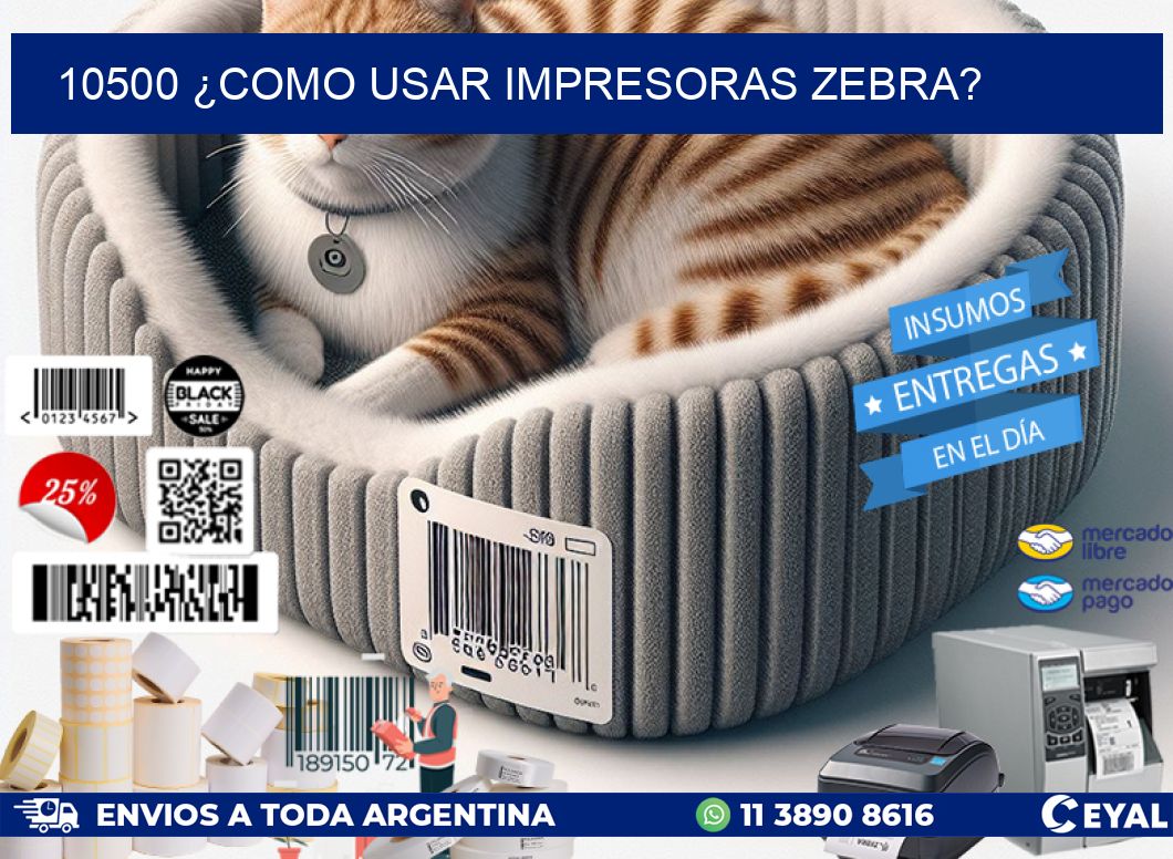 10500 ¿COMO USAR IMPRESORAS ZEBRA?
