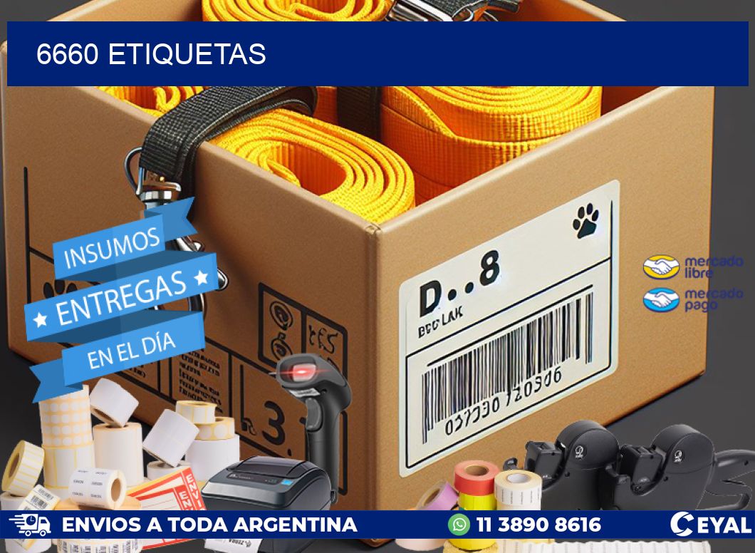 6660 ETIQUETAS