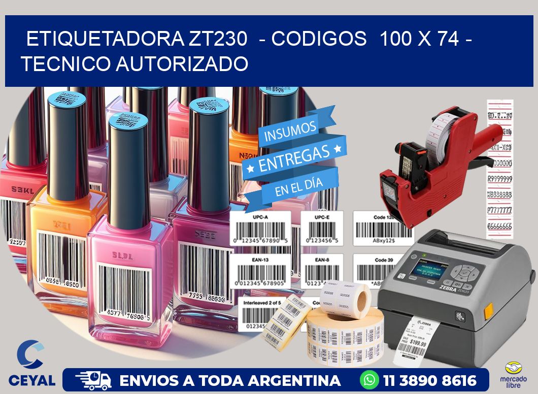 ETIQUETADORA ZT230  - CODIGOS  100 x 74 - TECNICO AUTORIZADO