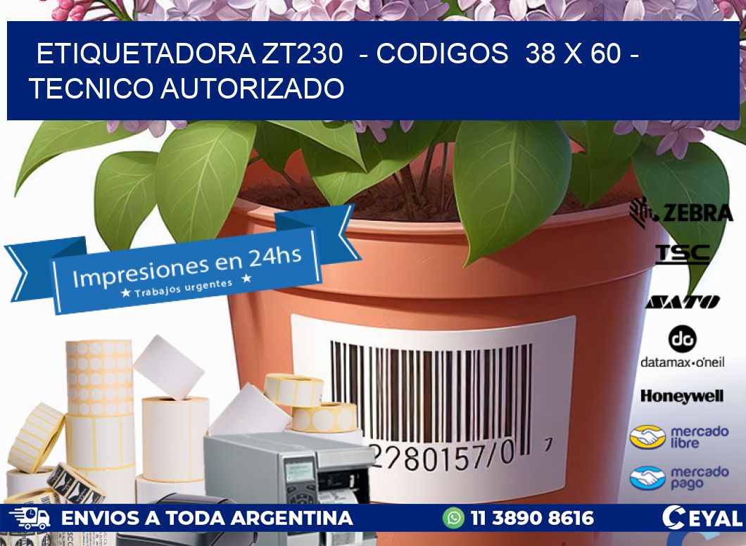 ETIQUETADORA ZT230  - CODIGOS  38 x 60 - TECNICO AUTORIZADO