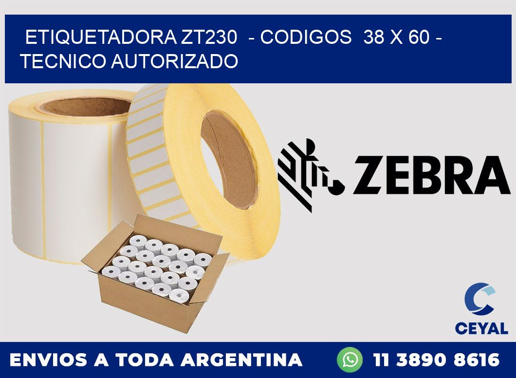 ETIQUETADORA ZT230  - CODIGOS  38 x 60 - TECNICO AUTORIZADO