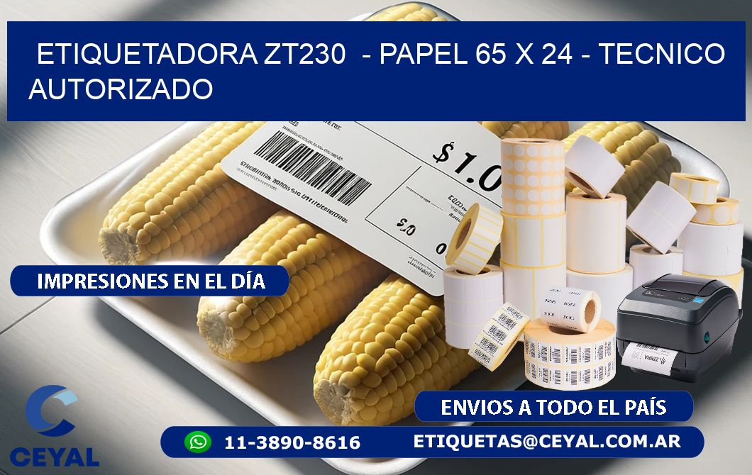 ETIQUETADORA ZT230 - PAPEL 65 x 24 - TECNICO AUTORIZADO