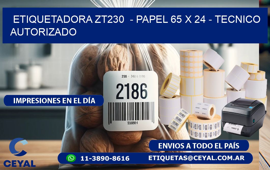 ETIQUETADORA ZT230 - PAPEL 65 x 24 - TECNICO AUTORIZADO
